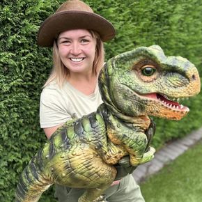 Image for Dylan's Amazing Dinosaurs with the Lowe Ranger