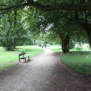 Image for Orienteering at Chaddesden Park